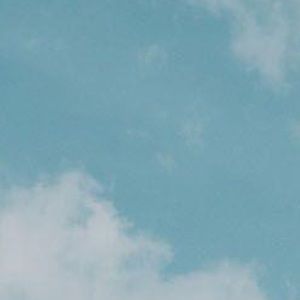 Meet your Posher, Ella